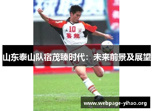 山东泰山队宿茂臻时代:未来前景及展望 山东泰山队宿茂臻时代:未来前景及展望