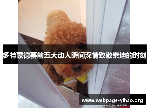 多特蒙德赛前五大动人瞬间深情致敬泰迪的时刻 多特蒙德赛前五大动人瞬间深情致敬泰迪的时刻