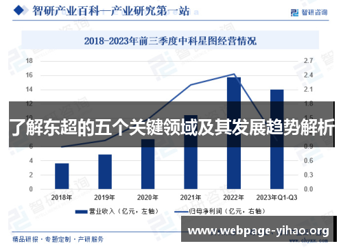 了解东超的五个关键领域及其发展趋势解析 了解东超的五个关键领域及其发展趋势解析