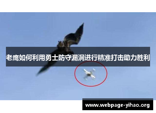 老鹰如何利用勇士防守漏洞进行精准打击助力胜利 老鹰如何利用勇士防守漏洞进行精准打击助力胜利